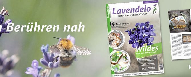 Lavendelo Zeitschrift Cover 14 2020