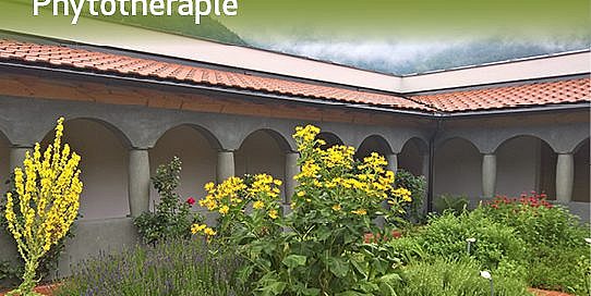 Europäische Klosterheilkunde
