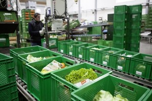 Amperhof Packstraße für die Ökokisten